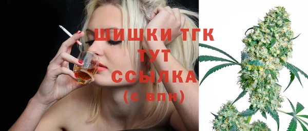 гидра Вязники