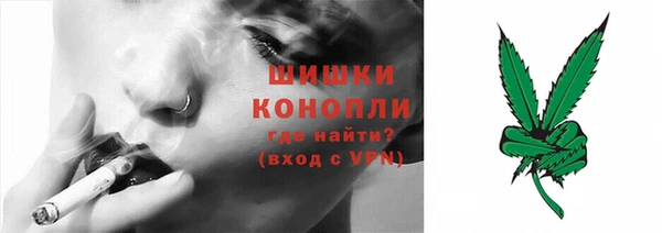 гидра Вязники