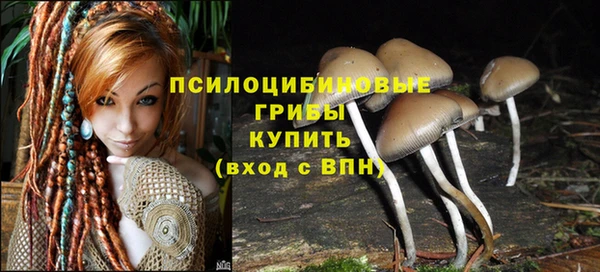 мескалин Вязьма