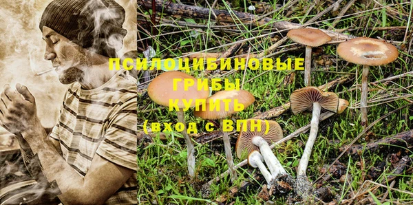 мескалин Вязьма