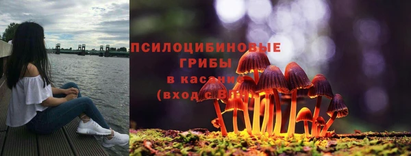 мескалин Вязьма
